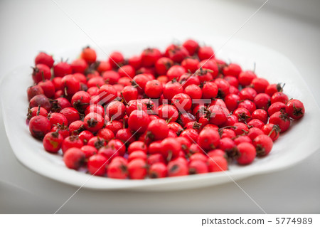 Hawthorn berries 5774989