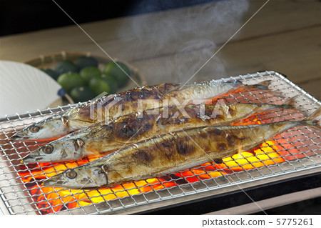 秋刀魚 5775261