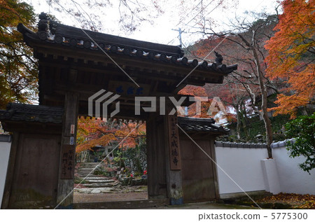 Autumn leaves of cattle Takiyama Autumn leaves of cattle Takiyama 5775300