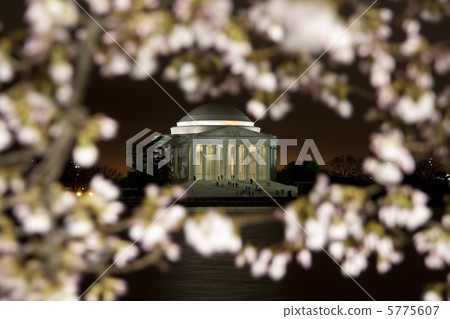 Cherry blossoms in Washington DC 5775607