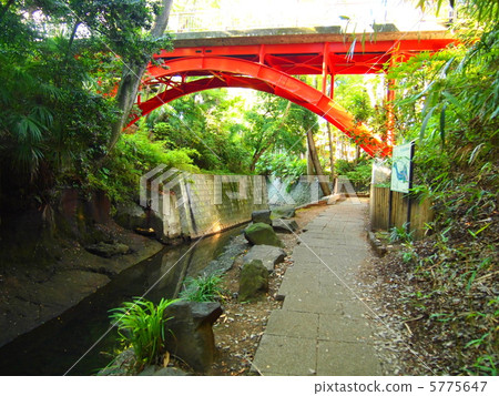  Todoroki Valley 5775647