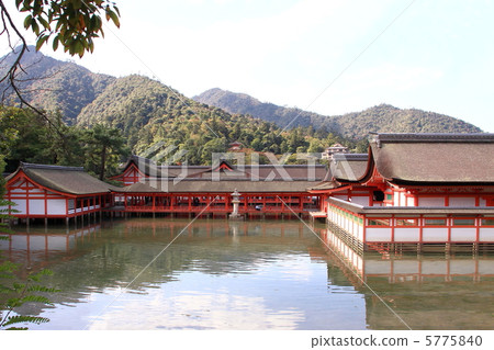 嚴島神社 5775840