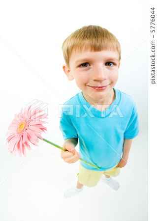 Cutie Cutie 5776044