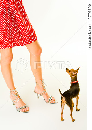 mammal, legs, knees 5776500