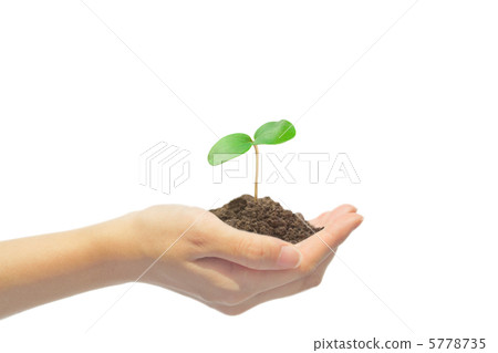 Futaba on hand 5778735