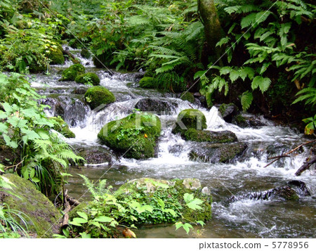 Oirase stream Oirase stream 5778956