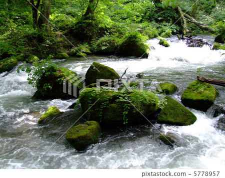 Oirase stream Oirase stream 5778957