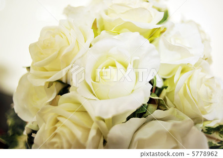  White flower 5778962