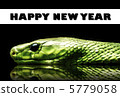 New Year's cards 2 New Year's cards 2 5779058
