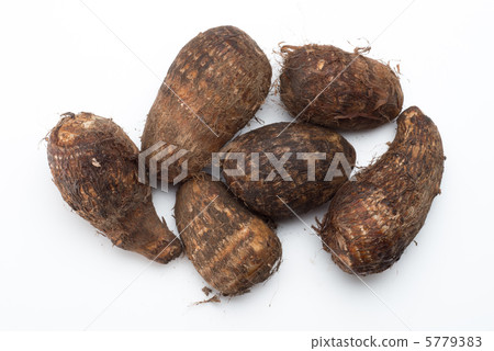Taro Taro 5779383