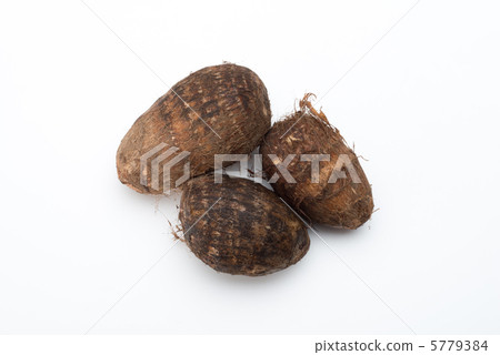 Taro Taro 5779384
