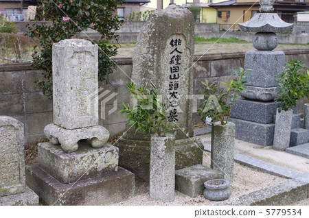 The grave of Taneda volcano The grave of Taneda volcano 5779534