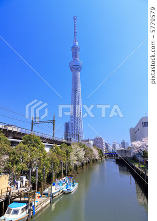 Tokyo Sky Tree 5779579