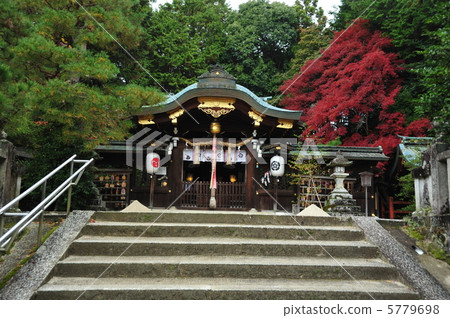 京都秋天的第八大神社 京都秋天的第八大神社 5779698