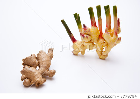 Shinkansen ginger Shinkansen ginger 5779794