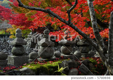 Kyoto Arashiyama Asadinokuni Buddha Temple Kyoto Arashiyama Asadinokuni Buddha Temple 5780698