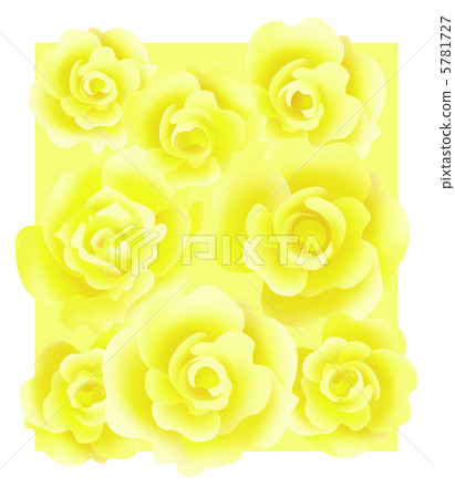 Rose flower box 5781727