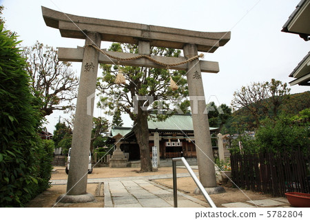 熊野神社的鳥居 5782804