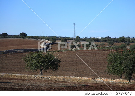 Trulli of Alberobello 5784043