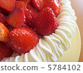 草莓生日蛋糕 5784102
