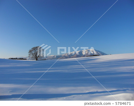 寒冬 冬天景色 積雪 5784671