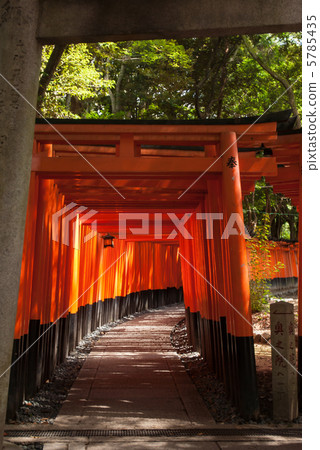 Fushimi-Inari Taisha Shrine Torii Torii 5785435