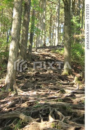 Mountain road Mountain road 5785593