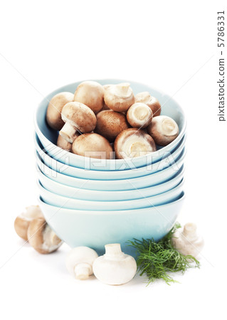 Fresh mushrooms Fresh mushrooms 5786331