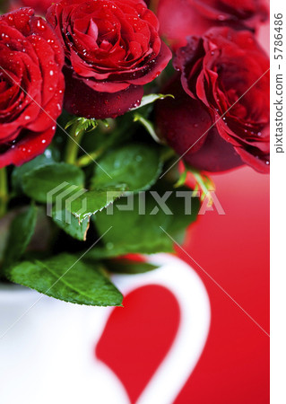 red roses red roses 5786486