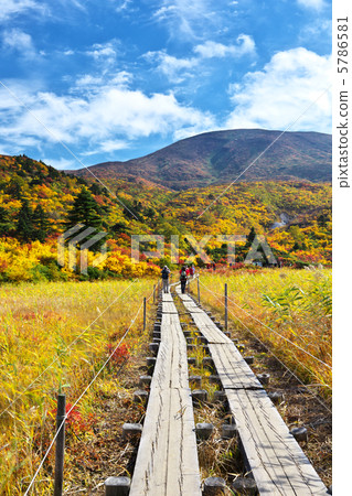 岩手一關市秋田Higashisease村莊Kurikomayama名殘渣峽谷 5786581