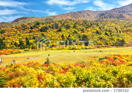 Iwate Ichinoseki City Akita Higashisease village Kurikomayama name residue gorge 5786582