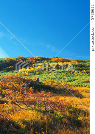 Yamagata Shonai Town Tsukiyama Midagahara 5786632