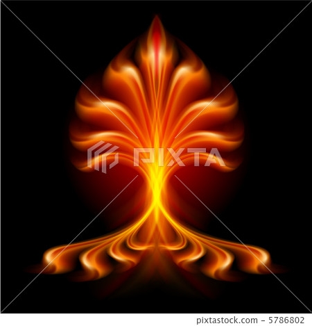 Fire flower Fire flower 5786802