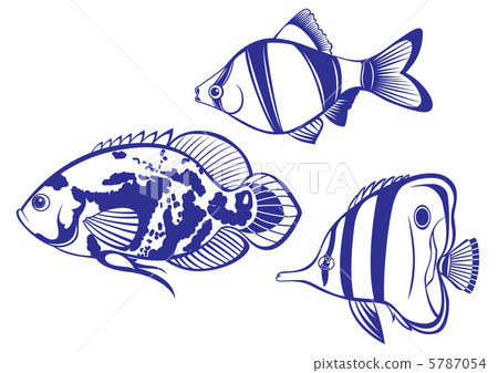Tropical Fish 5787054