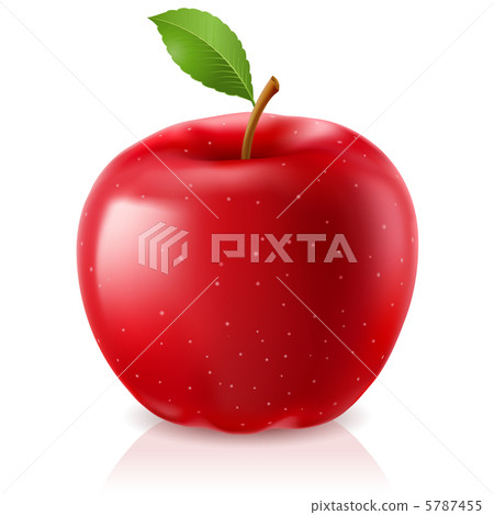 Delicious red apple Delicious red apple 5787455