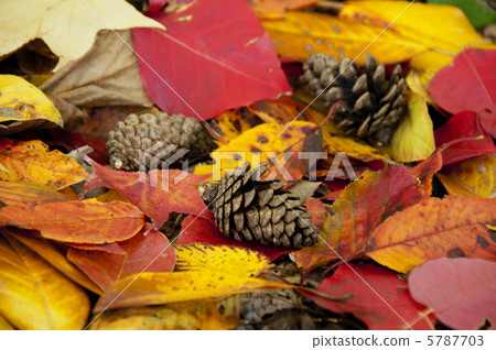 Dead leaf image Dead leaf image 5787703