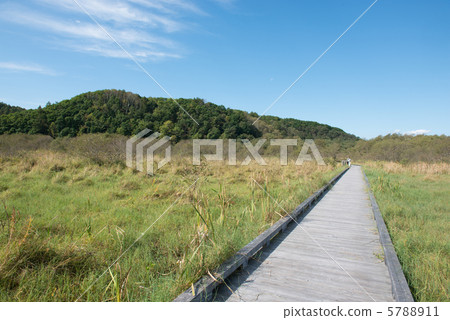 釧路沼澤 釧路沼澤 5788911