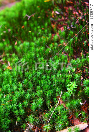 Upgrading Sugibook 5789747