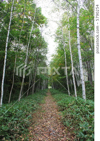 Shihoro line abandoned trace 5790254