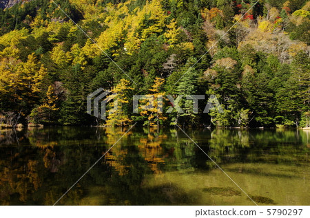 Kamikochi Meisei Ichinomiya Autumnal leaves and the water surface 5790297