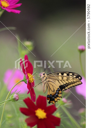 早餐 早餐 5790492