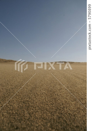 Nakadashima沙丘 5790899