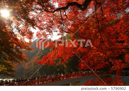 Kaori River Kaori River 5790902