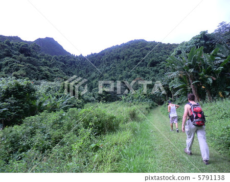 庫克群島,拉羅湯加島垂直徒步旅行路線 庫克群島,拉羅湯加島垂直徒步旅行路線 5791138