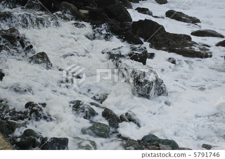 Sea of Japan / Wave of flowers 5 in winter 5 5791746