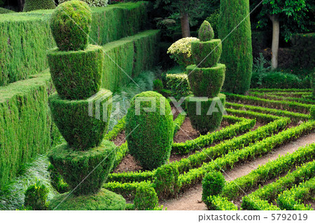 full frame, geometric, grow 5792019