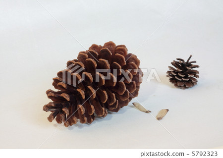 Matsukasa Matsukasa 5792323