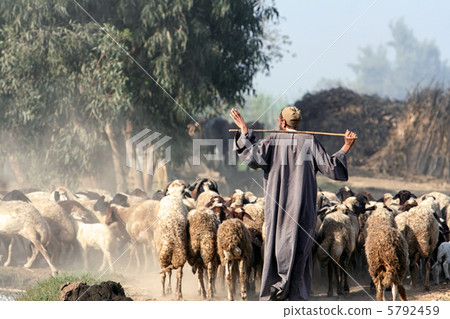 shepherd in africa shepherd in africa 5792459