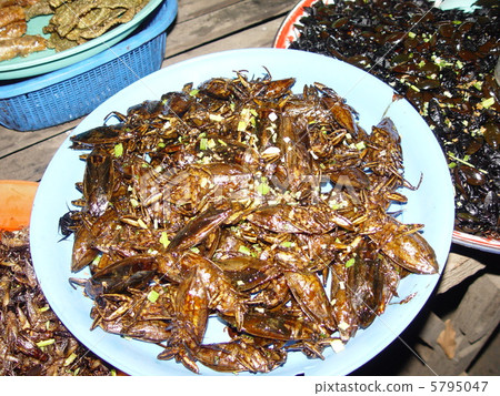食用昆蟲（Batampon /柬埔寨） 5795047