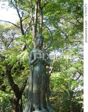 雕像在森林裡 5795077